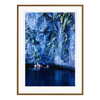 Toni Frisell, Hawaiian Scenes, C Print, Framed For Sale