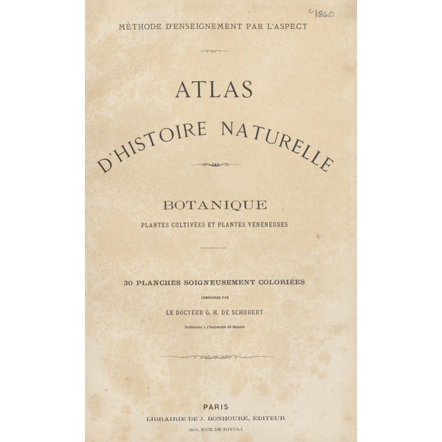 Mid 19th Century 1860's French Antique Botanical Chromolithograph-Autumn CROCUS-Documentation, Matted For Sale - Image 5 of 5