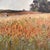 Brown Fernand Quignon, Walking Through the Wheat Fields, 20th Century, Oil on Board, Framed For Sale - Image 8 of 18