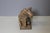 19th Century Sacred Cow in Carved Wood, India, 1800s For Sale - Image 3 of 12