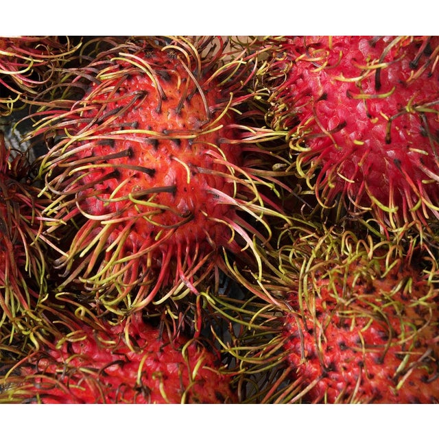 Pop Art "Hairy" Surrealist Style Limited Edition Photograph by Zeren Badar For Sale - Image 3 of 3