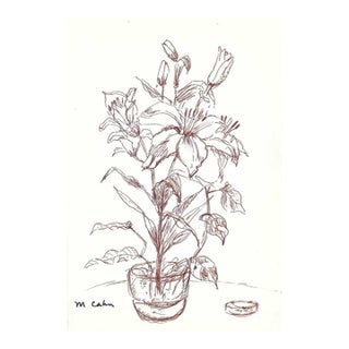 Myriam Cahn Lily Drawing For Sale