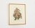 Wood Set of Nine Botanical Lithograph Prints After Louis Van Houtte For Sale - Image 7 of 18