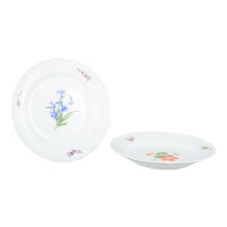 Porcelain Plates with Floral Motifs by Meissen, Germany, 1930s, Set of 2 For Sale