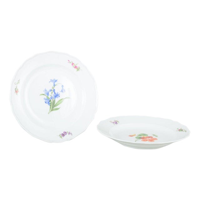 Porcelain Plates with Floral Motifs by Meissen, Germany, 1930s, Set of 2 For Sale