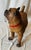 A whimsical Hand painted English terra-cotta pug dog sculpture, circa 1880. The pieces where the rage in the 19th century...