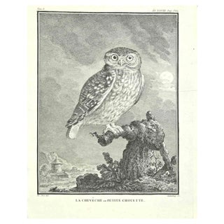 Carl Guttenberg, La Cheveche, Petite Choutte, Etching, 1771 For Sale