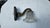 Art Deco Brass Wall Lamp, 1920s For Sale - Image 3 of 8