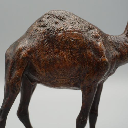 Metal Franz Bergman, Dromedary, 1890s, Bronze For Sale - Image 7 of 10