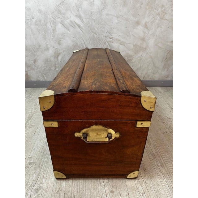 Antique Camphor Wood Chest, 1900 For Sale - Image 4 of 14