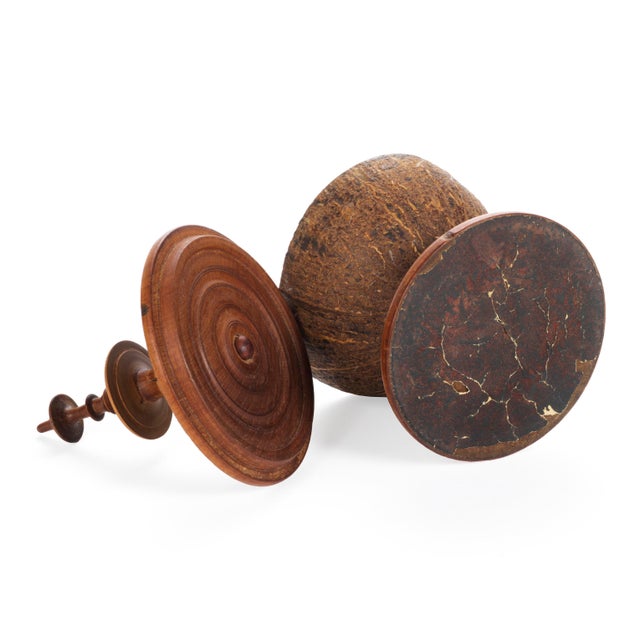 Body, base, and lid in a coconut shell, set in a mount of finely grooved, turned fruitwood, with a polybaluster handle....
