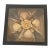 Palm Beach Sea Shell Art Florals in Shadowbox For Sale