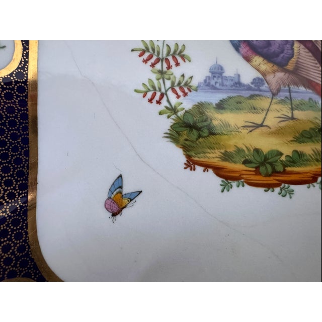 Blue Early 20th Century Gilded Grandeur: Copeland Spode "Exotic Bird" Plates From Thomas Goode & Co., London - Set of 4 For Sale - Image 8 of 13