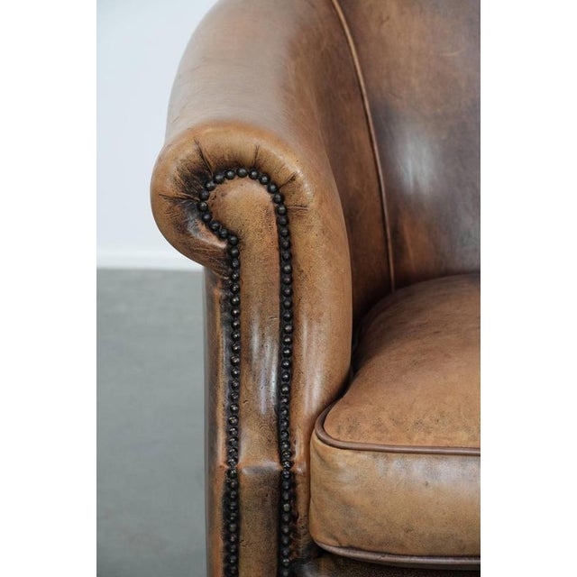Club Chair in Sheepskin For Sale - Image 15 of 18