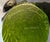 Late 20th Century Daum France Pate De Verre Glass Black Panther in Green Tree For Sale - Image 13 of 16