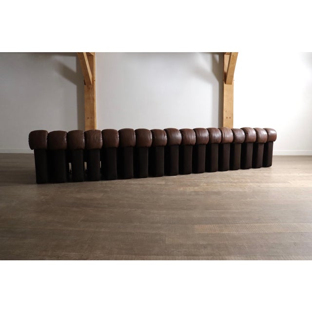 DS 600 Sectional Sofa by Heinz Ulrich, Ueli Berger and Eleanora Peduzzi-Riva for de Sede, 1980s, Set of 17 For Sale - Image 11 of 12