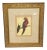 Vintage Framed Jamaican Macaw Lithograph Print For Sale