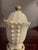 Victorian 1900 Rare Northwood Argonaut Shell Custard Glass Covered Sugar Bowl Gilt Accents For Sale - Image 3 of 15