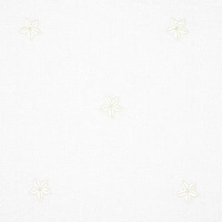 Schumacher Vincenzo Embroidered Sheer Fabric in Blanc For Sale