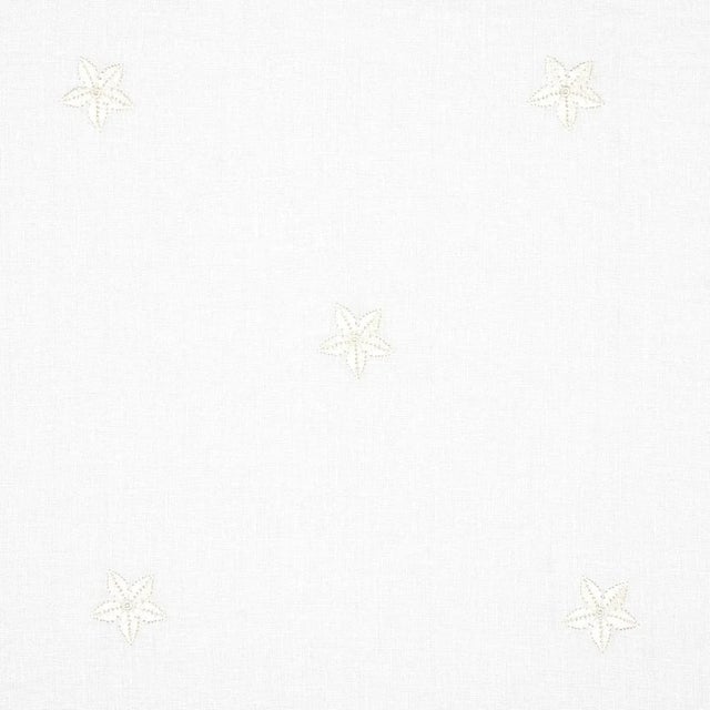 Schumacher Vincenzo Embroidered Sheer Fabric in Blanc For Sale