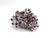 Shell Natural Barnacles Cluster For Sale - Image 7 of 7