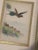Late 20th Century Framed Chinoiserie Style Bird Painting- A Pair For Sale - Image 11 of 11