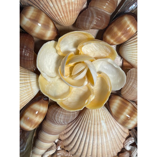 2000 - 2009 Gorgeous Sea Shell Natures Beauty Wall Plaque by Elia For Sale - Image 5 of 8