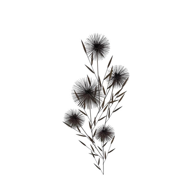 An iconic mid-century modern brass wall sculpture by Curtis Jere, featuring an elegant elongated botanical composition of...