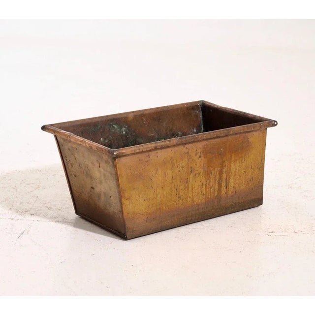 19th Century Swedish Flower Case For Sale - Image 6 of 8