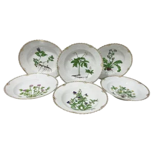 Flora Danica Porcelain Soup Plates by Bing & Grøndahl, Denmark, 1920s, Set of 6