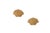 Mid-Century Modern Clam Shell Pencil Reed Rattan Wall Sconce (Set of 2) For Sale - Image 3 of 9