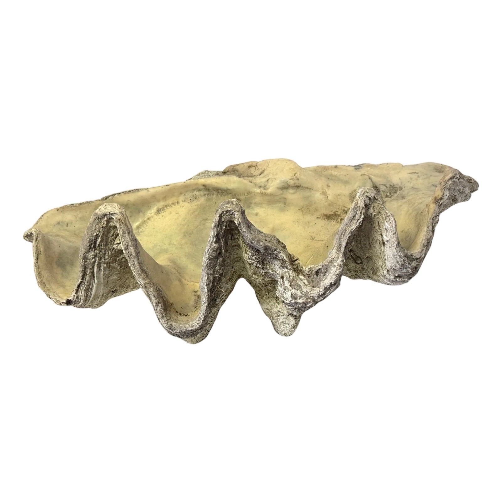 Monumental Faux Giant Clam Shell Fiberglass/Resin Authentic Weathered ...