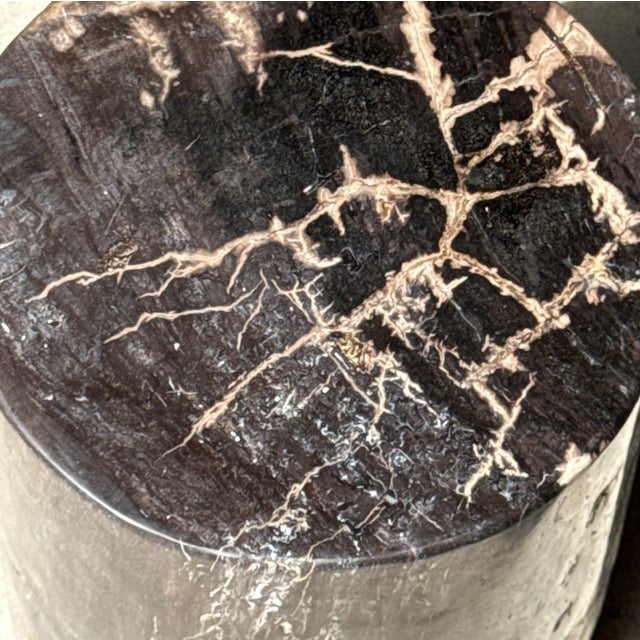 Side Table in Black Petrified Wood with Beige Fine Mesh Pattern For Sale - Image 17 of 18