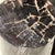 Side Table in Black Petrified Wood with Beige Fine Mesh Pattern For Sale - Image 17 of 18