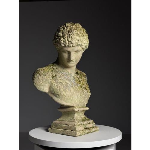 Bust of Hermes in Plaster For Sale - Image 14 of 18