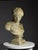 Bust of Hermes in Plaster For Sale - Image 14 of 18