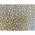 Ostrich Embossed Silvered Benches With Nailhead Trim Detail For Sale - Image 4 of 17