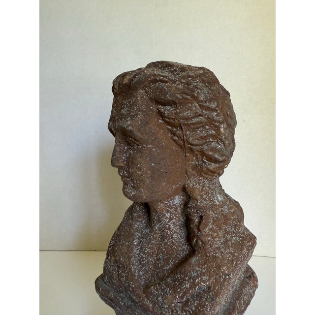 Late 20th Century Neoclassical Style Cast Stone Female Bust With Weathered Terracotta Finish For Sale - Image 5 of 11
