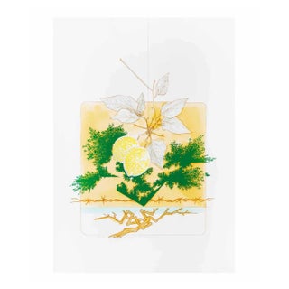 Leo Guida, Lemons, Screen Print, 1972 For Sale