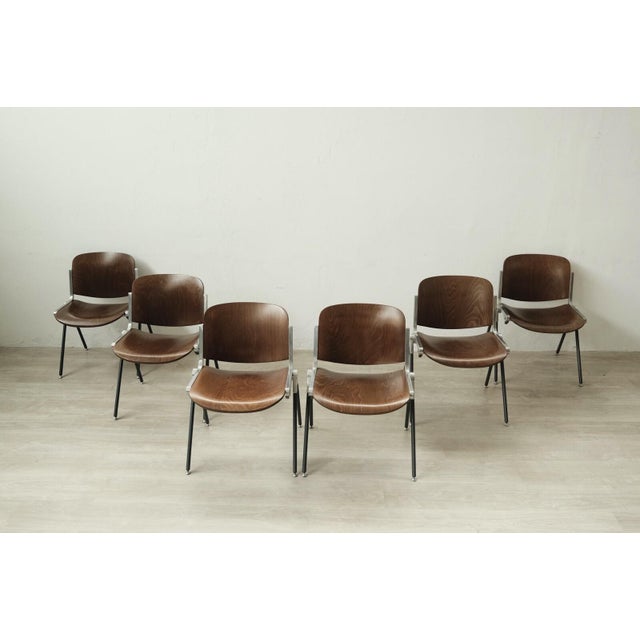 Industrial Agorà Chair by Paolo Favaretto, 1960s-1970s, Set of 6 For Sale - Image 3 of 9