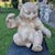 Beige Terracotta Teddy Bear from Heissner, 1910 For Sale - Image 8 of 10