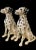 Mid 20th Century Royal Doulton Dalmatian Statues Made in England - A Pair For Sale - Image 5 of 9