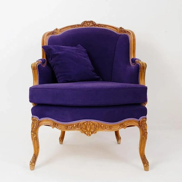 French Bergere Armchair in Velvet For Sale - Image 6 of 13