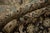 Traditional Vintage Distressed Heriz Carpet - 8'1" x 10'8" For Sale - Image 3 of 13