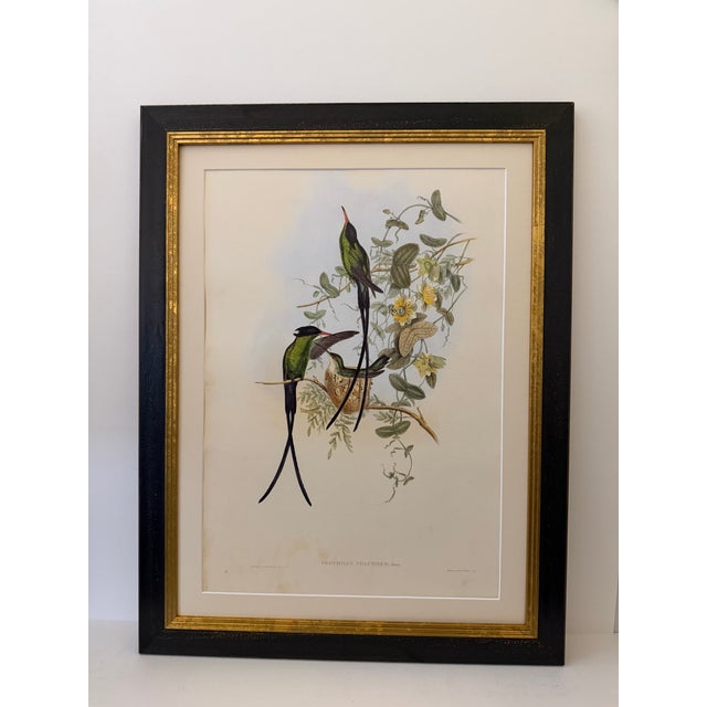 Traditional 1990s Framed Prints, Set of 3, Crimson Topaz, Fiery Topaz, and Black-Capped Hummingbirds Hill House Editions For Sale - Image 3 of 12