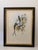 Traditional 1990s Framed Prints, Set of 3, Crimson Topaz, Fiery Topaz, and Black-Capped Hummingbirds Hill House Editions For Sale - Image 3 of 12