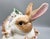 Farmhouse Fitz & Floyd Botanical Bunny Rabbit Family Ceramic Cookie Jar – Cottagecore / Spring For Sale - Image 12 of 18