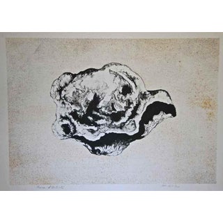 Vito Apuleo, Cellula, Lithograph, 1970s For Sale
