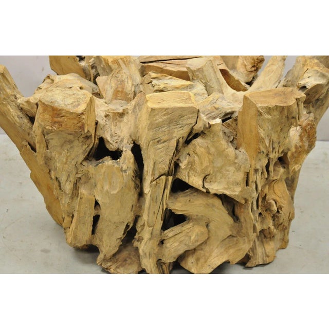 Mid 20th Century Vintage Teak Wood Root Driftwood Natural Coffee Table Pedestal Base For Sale - Image 10 of 12