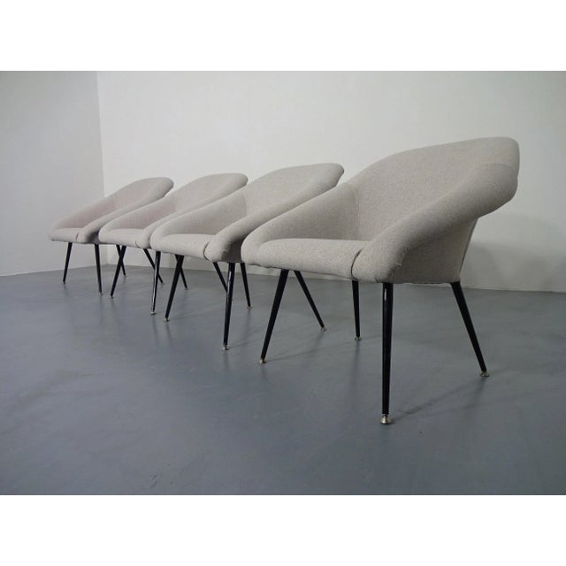 Italian club chair from the 1960s. Reupholstered and reupholstered. Black lacquered metal legs with leveling feet. Very...